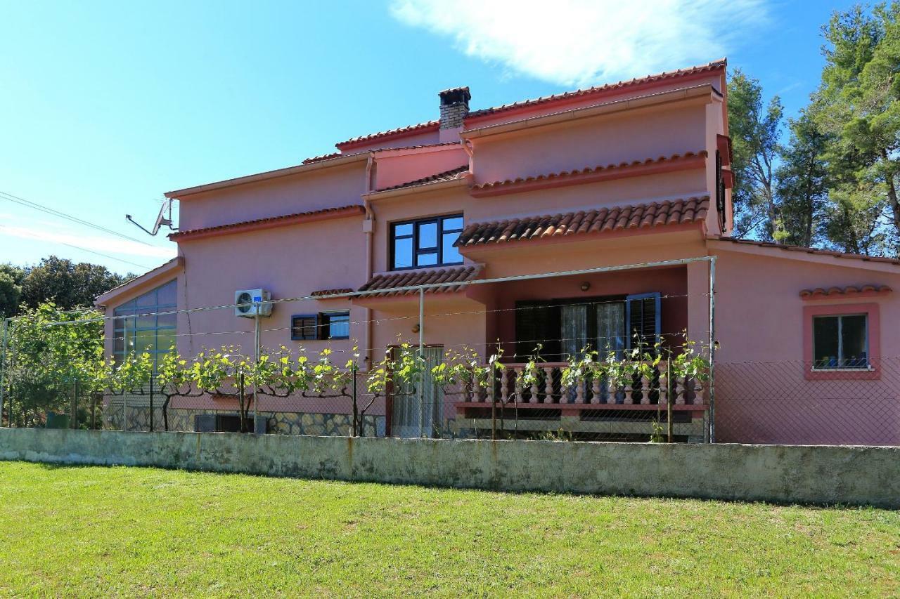 Apartmani Jagoda Bibinje Esterno foto